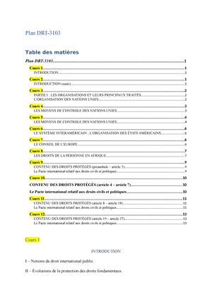 Plan Drt Plan De Cours Facult De Droit Drt A Droit