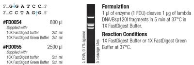 Thermo Scientific Fastdigest Ecori Ecori Ul Thermo Scientific