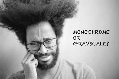 Monochrome vs Grayscale Photography: Key Differences