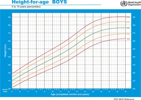 Courbe Poids Bébé Garçon Courbe De Croissance Comment Suivre La