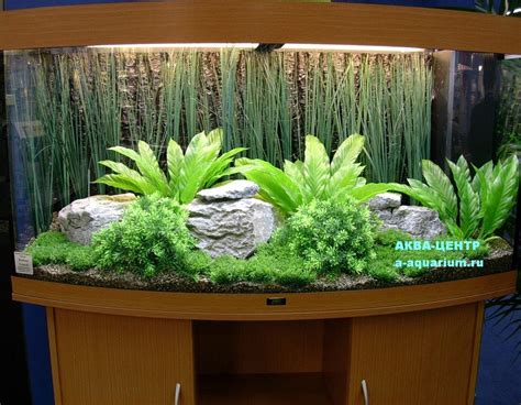 Оформление аквариума искусственными растениями (55 фото) - красивые ...