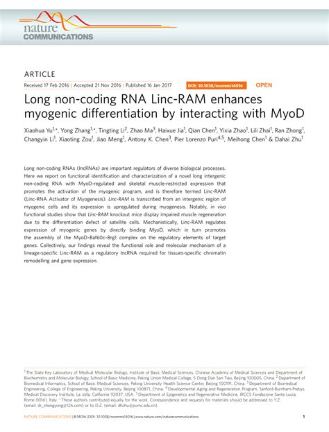 PDF Long Non Coding RNA Linc RAM Enhances Myogenic Differentiation By