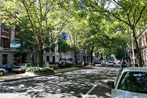 Melbourne Trees Are Getting Mapped For A City Wide Urban Forest