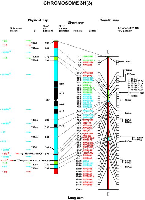 Physical Chromosome Mapping Chromosome Mapping Physical Physical