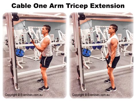 Cable One Arm Tricep Extensions Quick 1 40 Min How To Video