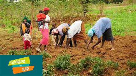 Bridging Gender Gap In Agriculture Vital For Economic Progress