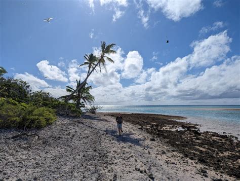 Raroia Atoll Bumfuzzle