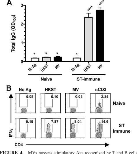 Figure 4 From Protective Immunity In Vivo And T Cell Responses And