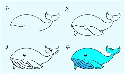 How to draw A Cartoon Whale step by step - Drawing Photos