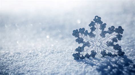 Download Winter Snow Nature Snowflake 4k Ultra HD Wallpaper