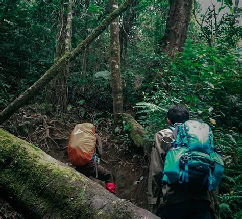 Paket Hiking 1 Hari Gunung Burangrang Campa Tour And Event