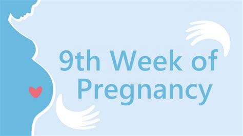 9 Weeks Pregnant Symptoms and Signs - Pregnancy Week by Week