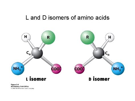 L And D Isomers Of Amino Acids Ionization