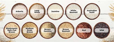 Exploring Rice Varieties Your Ultimate Guide To Different Types