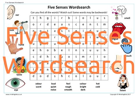 Five Senses Activity Pack Mindingkids