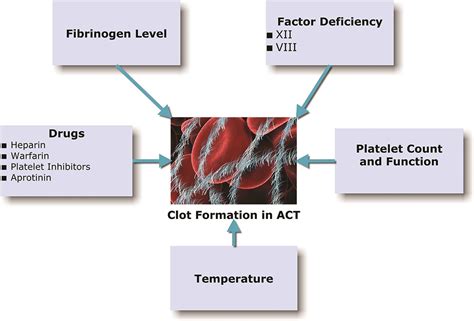 Activated Clotting Times Heparin Responses And Antithrombi