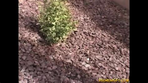 Hot Gina Photoshoot Strip Off Showing Perfect Ass And Tits