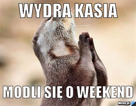 Wydra Kasia modli się o weekend Memy pl