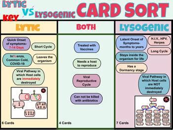 lytic  lysogenic card sort review digital resource  biostar tpt