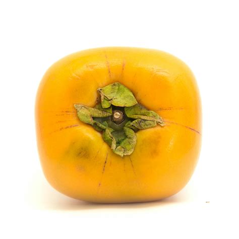 Free stock photo of persimmon, white background