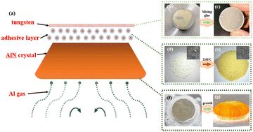 Suitable Thickness Of The Adhesive Layer Facilitates The Release Of