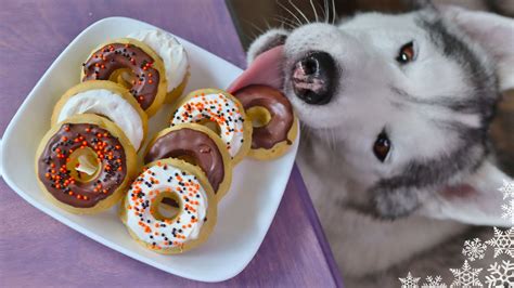 Are Donuts Good For Dogs