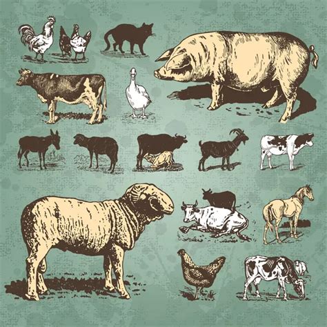 Farm animals vintage set (vector) Stock Vector Image by ©milalala #5350449