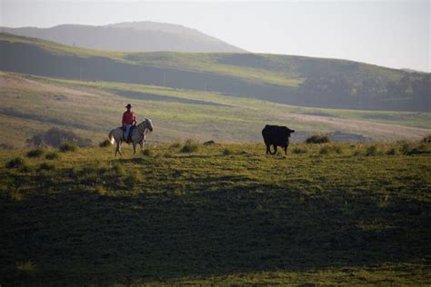 Video Yeti Spotlights The Cowboys Of Hawaii Cowboys And Indians Magazine