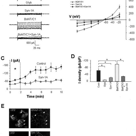 Syntaxin 1A Binds SUR1 At Its NBF 1 And NBF 2 As Shown In A