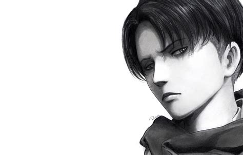 Attack On Titan Black and White Wallpapers - Top Free Attack On Titan ...