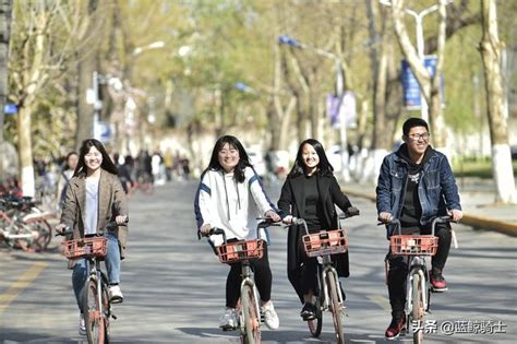 天津大學」海棠季」 海棠樹下女孩子們與海棠同秀美 每日頭條