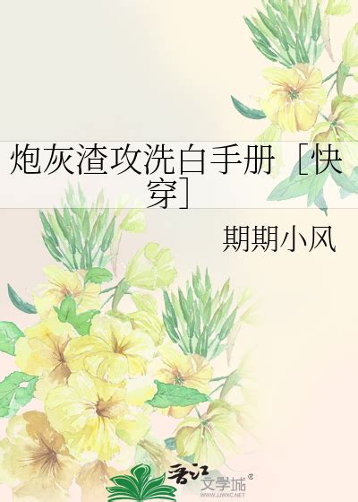 《炮灰渣攻洗白手册 快穿 》期期小风晋江文学城【原创小说纯爱小说】