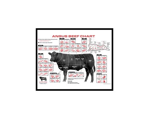 Angus Beef Chart Poster Meat Cuts Print For Kitchen Decor T For Cooks And Butchers Unframed