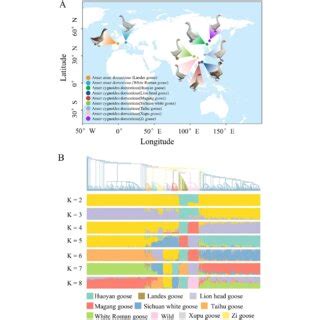 Gene PAV Analysis In The Goose Pan Genome The PAV Heatmap Of Shell