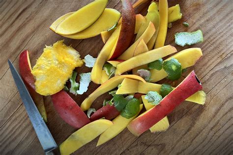 Mexican-Mango Oleo-Saccharum - Under the Mango Tree