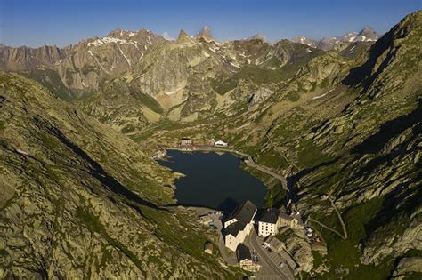 Saint Bernard | Dog-Breeds.com