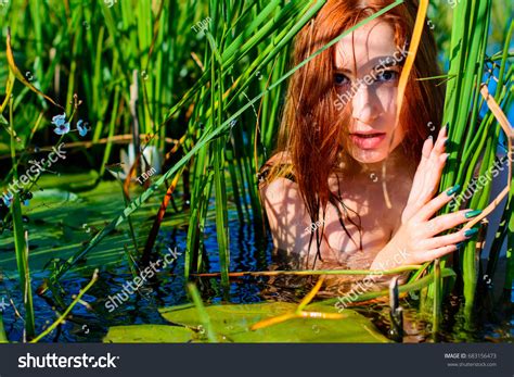 Sexy Wet Mermaid Reeds Naked Bathes Stock Photo Shutterstock