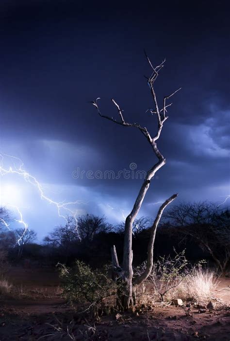 African Thunderstorm stock photo. Image of lightning - 19522984