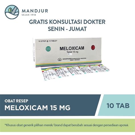 Jual Meloxicam 15 Mg Strip 10 Tablet Shopee Indonesia