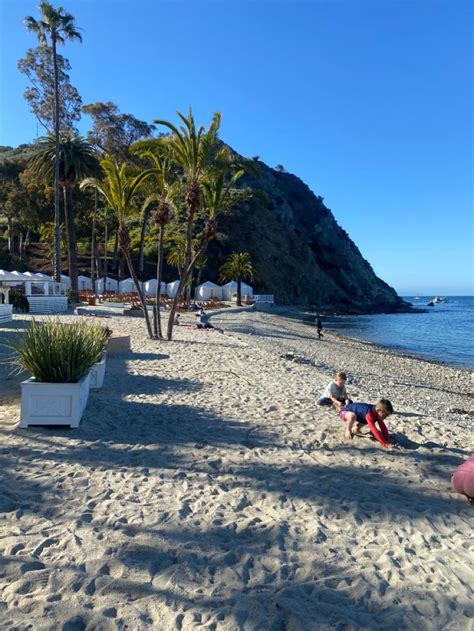descanso beach club descanso beach club beach club beach