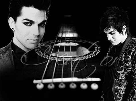 Adam Adam Lambert Wallpaper 14563362 Fanpop