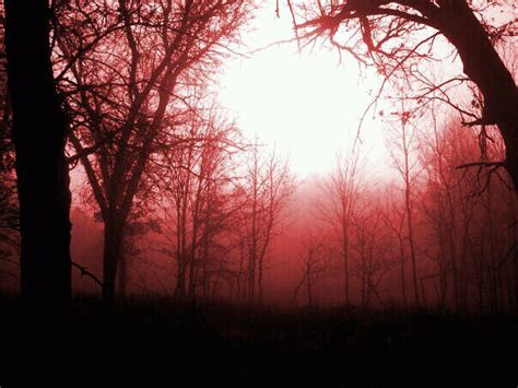 Red Fog Artofit