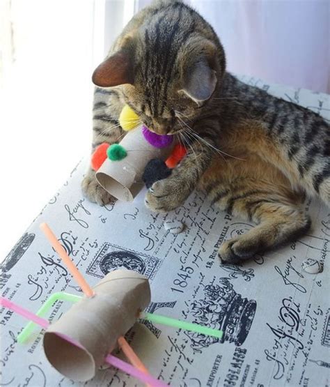 13 игрушек для котиков своими руками | КОТы, КОТэ и КОТики