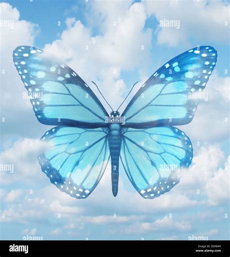 Blue Monarch Butterfly Hi Res Stock Photography And Images Alamy