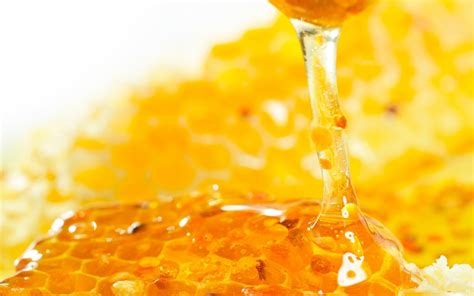 Honey with honey comb HD wallpaper | Wallpaper Flare