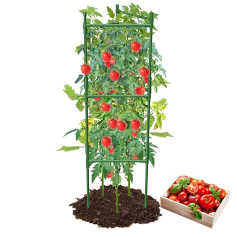 MQHUAYU 1 Pack Tomato Cage,Tomato Cage for Raised Garden Bed, 48'' Tall
