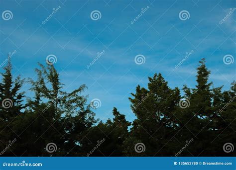 Astonishing Blue Twilight Stock Photo Image Of Emmerging 135652780