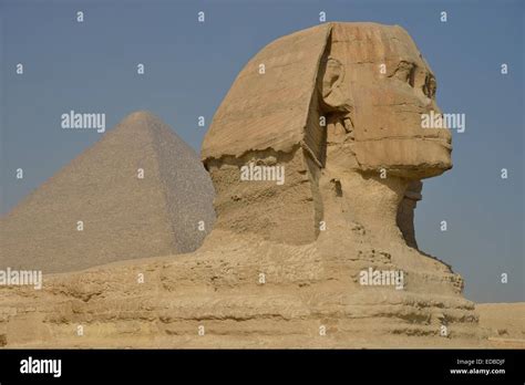 Sphinx Or Great Sphinx Of Giza Lion With A Human Head Built In The