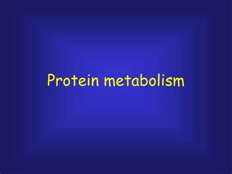 PPT - Protein metabolism PowerPoint Presentation, free download - ID:988013