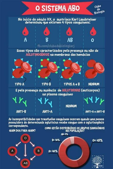 Genetica Sistema Abo - Infográfico do Sistema ABO - Tipos Sanguíneos | Sistema abo resumo ...